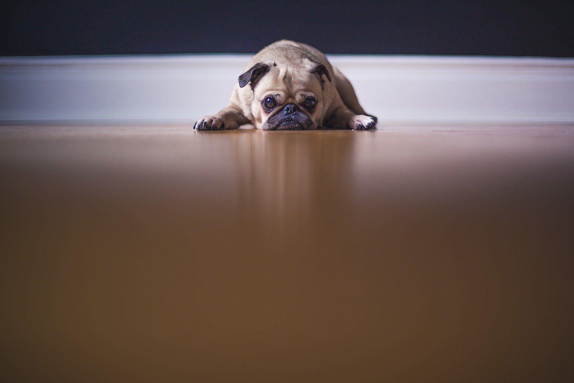 How Landlords Can Beat the Blues 