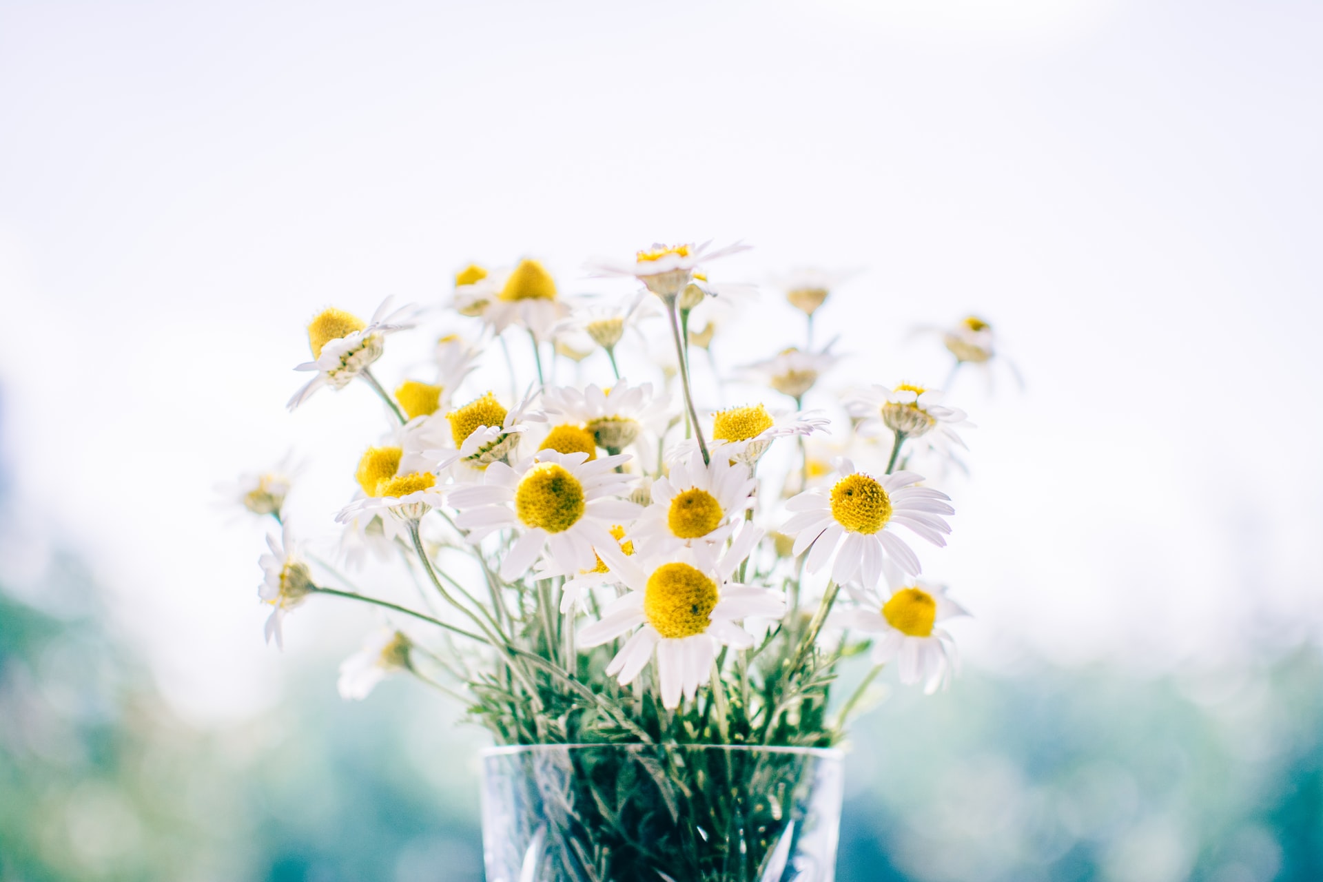Six Ways Landlords Can Spring Clean Their Property Portfolio