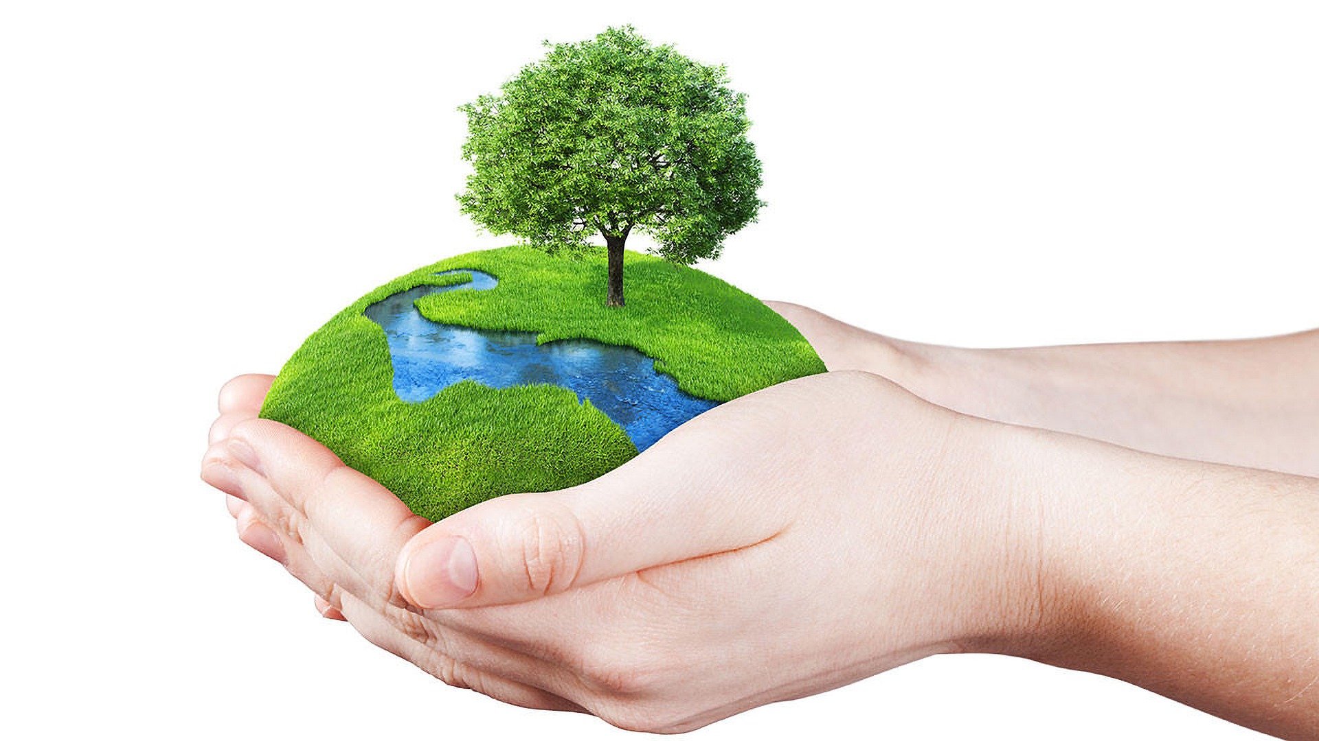 How to care for the Earth AND your home