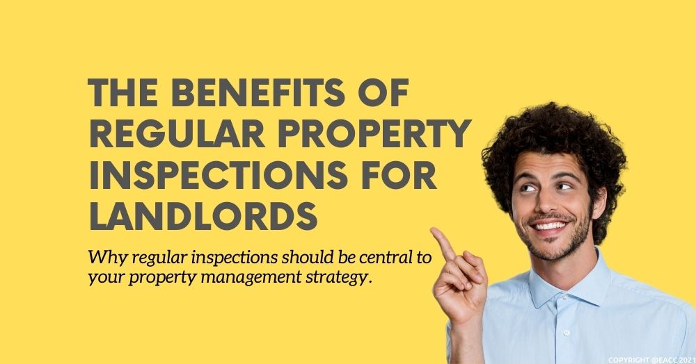 Six Reasons Why Property Inspections Are a Must for New Forest Landlords 
