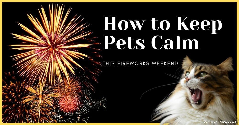 How to Keep Pets Calm This Fireworks Weekend