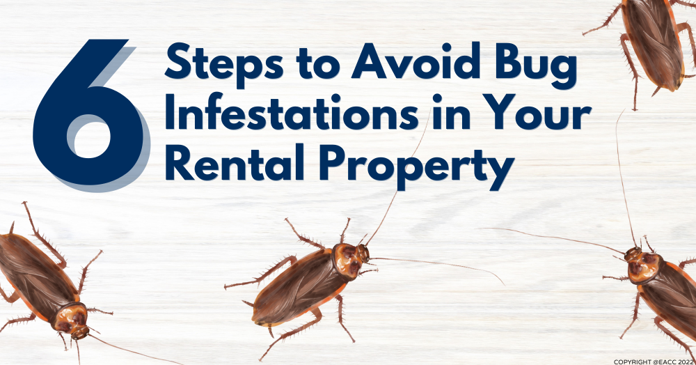 Six Steps to Avoid Bug Infestations in Your Rental Property