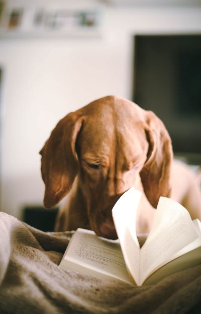 National Read a Book Day