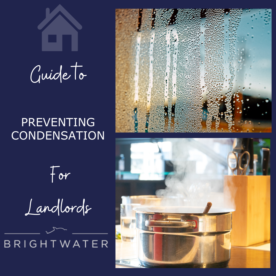How to Prevent Condensation- A Landlord Guide 
