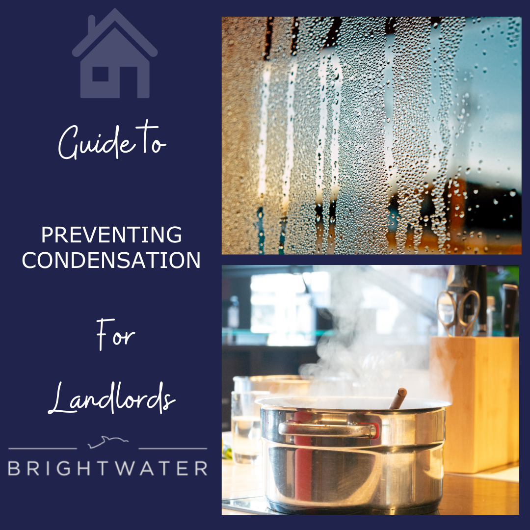 How to Prevent Condensation A Landlord Guide BrightWater