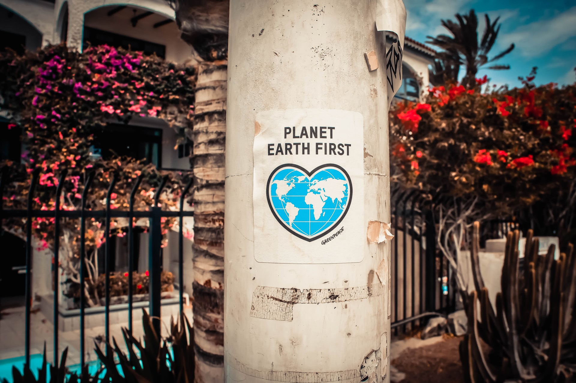 Tips to Save on Your Energy Bills and Help the Planet