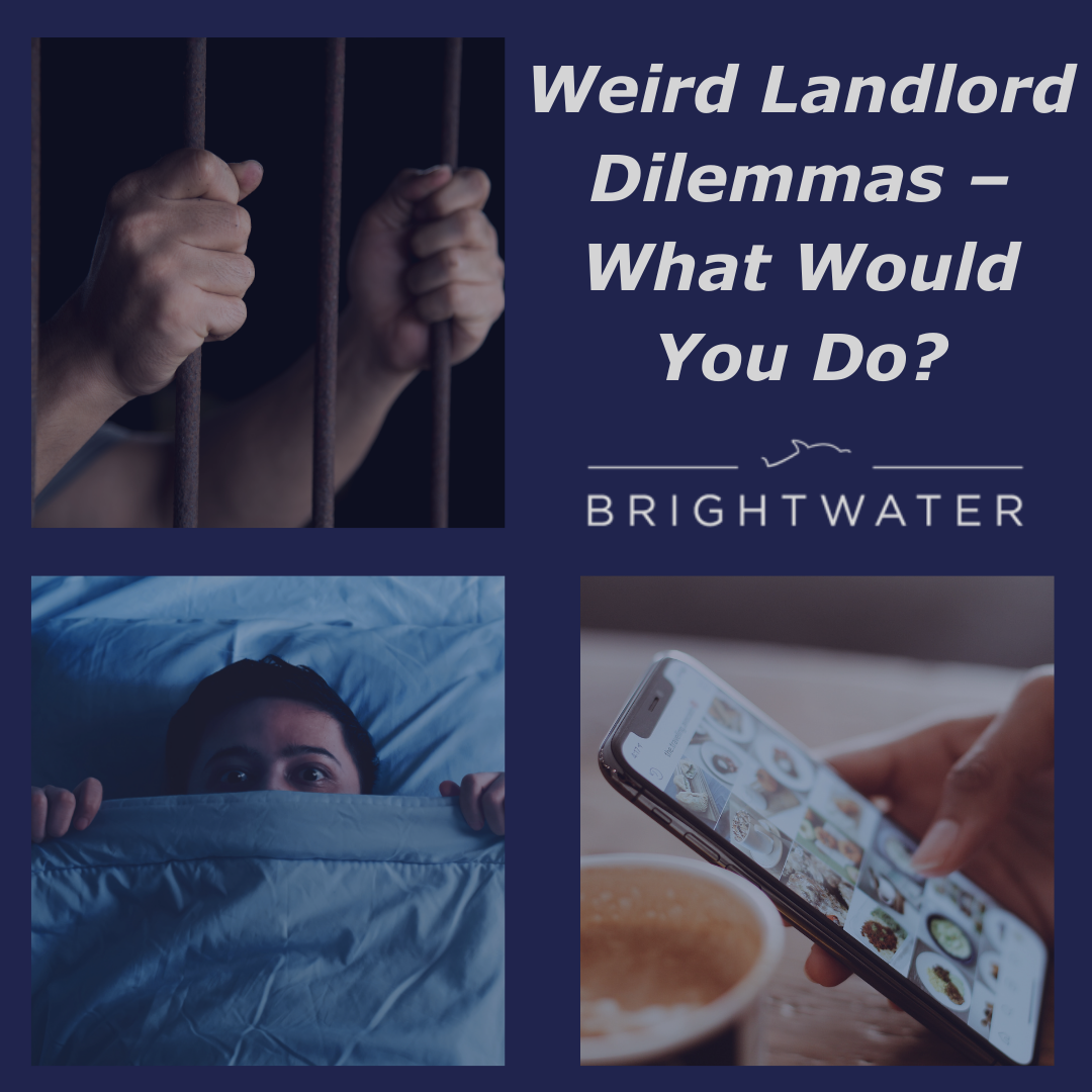 Weird Landlord Dilemmas – What Would You Do?