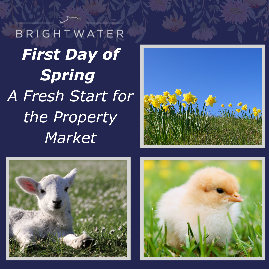 First Day of Spring- A Fresh Start for the Property Market