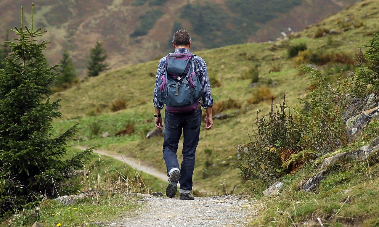Nine Things You Can Do in The New Forest in October that Covid-19 Can’t Stop